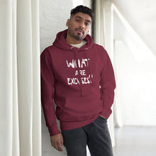 Load image into Gallery viewer, What Are Excuses?  Special Edition Greek (Multi-Color) Unisex Hoodie